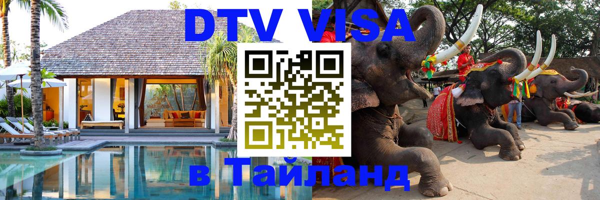 Оформление DTV визы под ключ: стоимость и тарифы, только загранпаспорт - 18.11.2025 